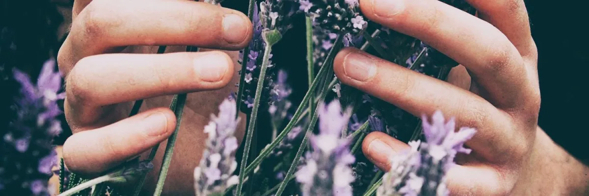 Should You Be Using Paid Ads? A Guide for Holistic Practitioners featured image